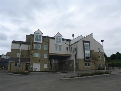 Picture 6